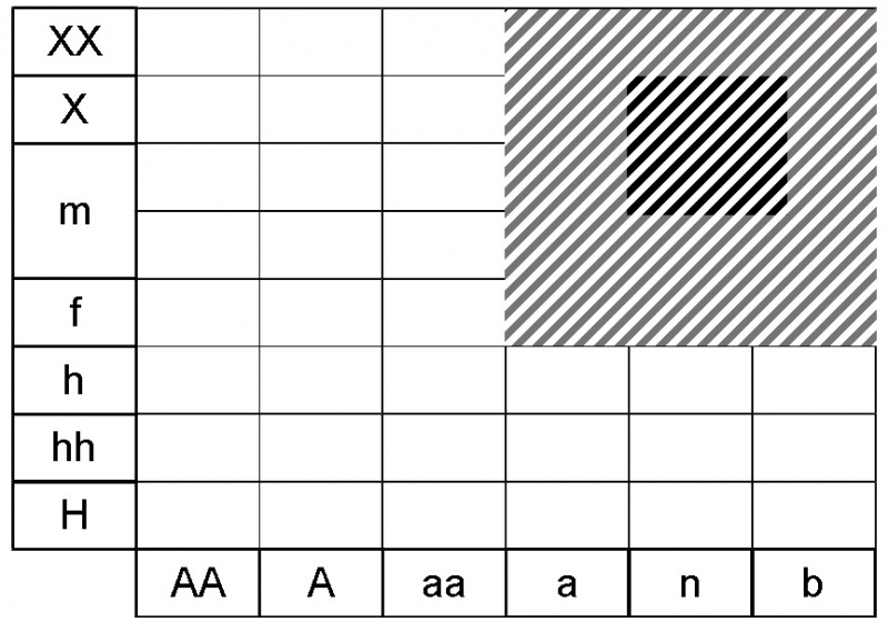 Fichier:Acer opalus ecogramme.jpg
