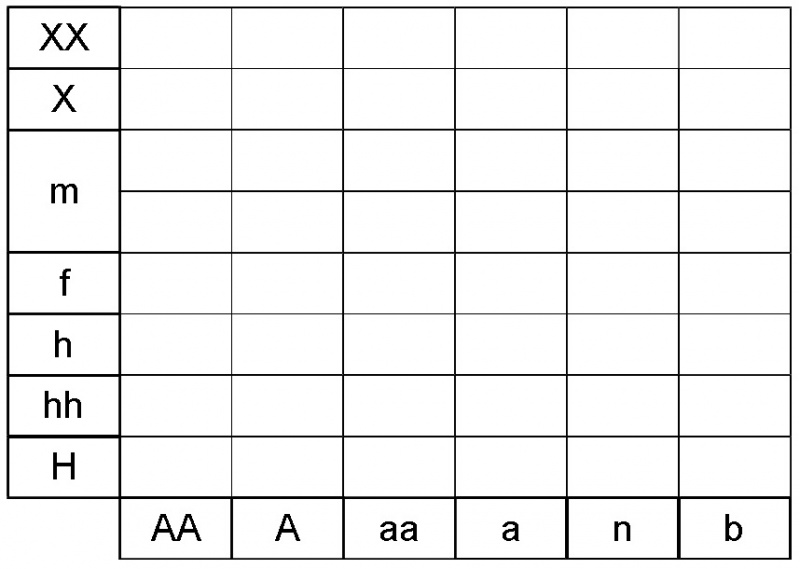 Fichier:Aconitum altissimum ecogramme.jpg