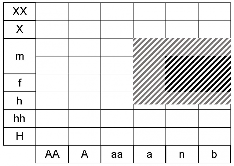 Fichier:Actea spicata ecogramme 1.jpg