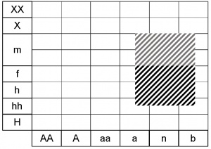 Aegopodium podagraria ecogramme.jpg