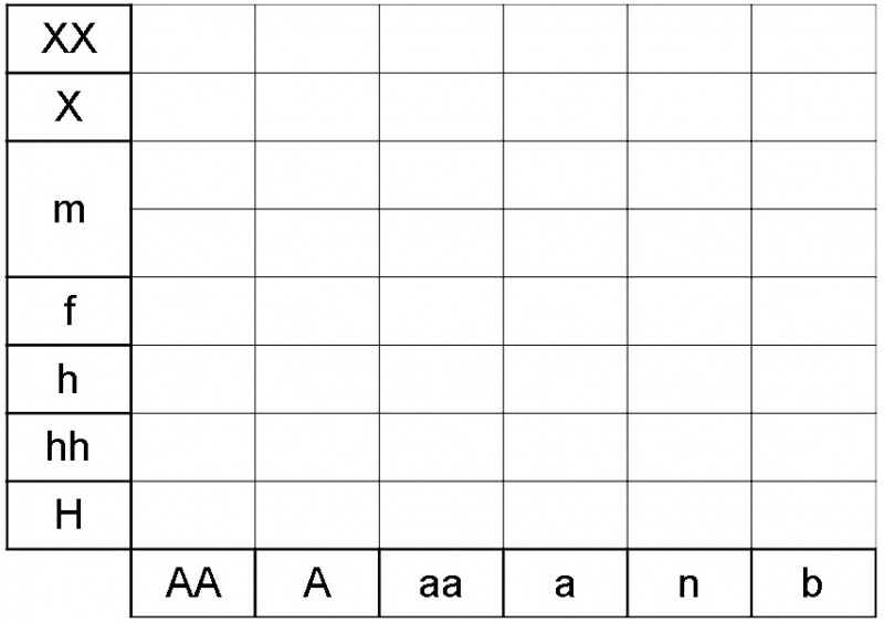 Fichier:Aposeris foetida ecogramme.jpg