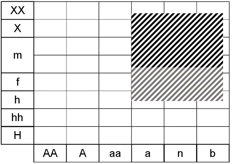 Fichier:Asarum europaeum ecogramme.jpg