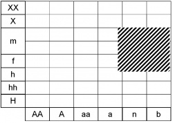 Cardamine heptaphylla ecogramme.jpg