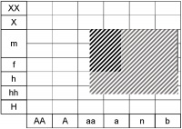 Ecogramme