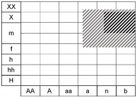 Ecogramme