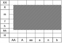 Ecogramme