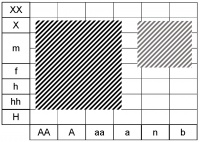 Ecogramme