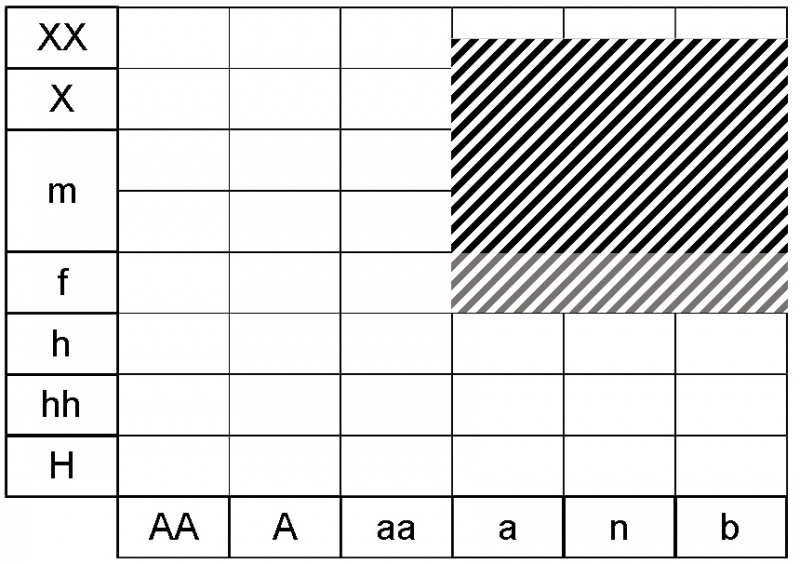 Fichier:Melica nutans ecogramme.jpg