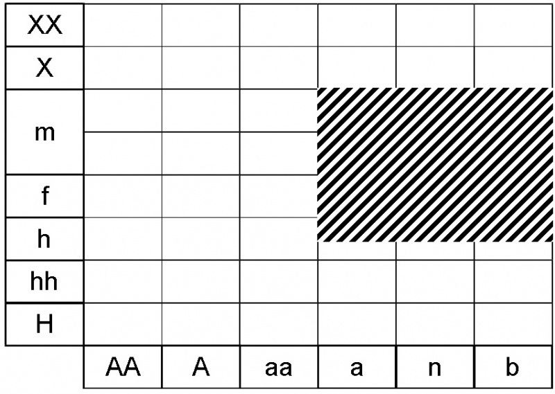 Fichier:Moehringia muscosa ecogramme.jpg