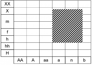 Prima acaulis ecogramme.jpg