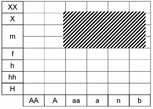 Tamus communis ecogramme.jpg